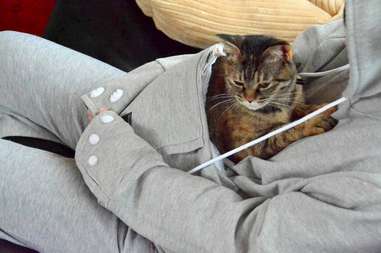 cat carrier sweater